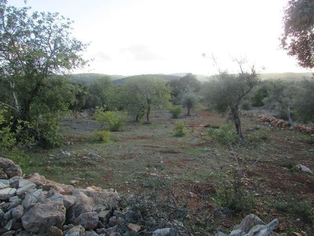 Land in Loule (Sao Sebastiao), Algarve, Portugal 5 - 12855726