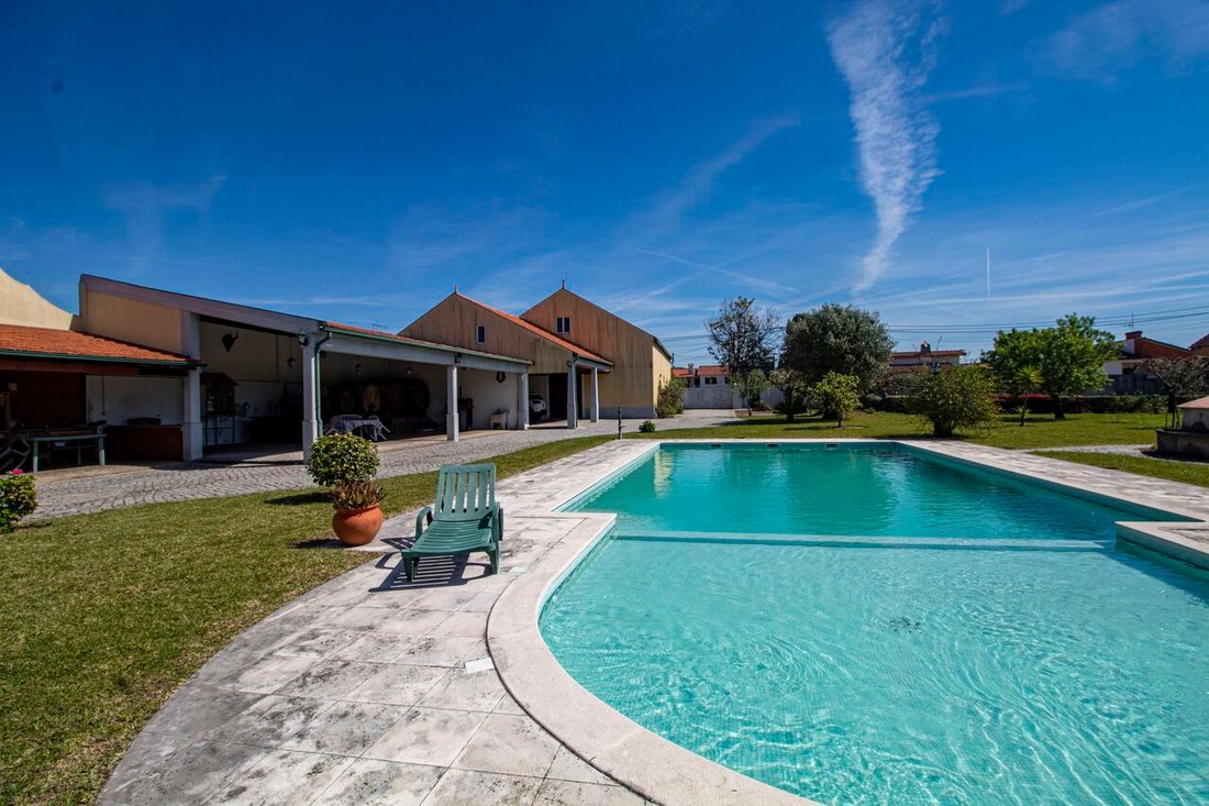 Manor Farm, Exceptional With A Lot Of In Sangalhos, Aveiro District