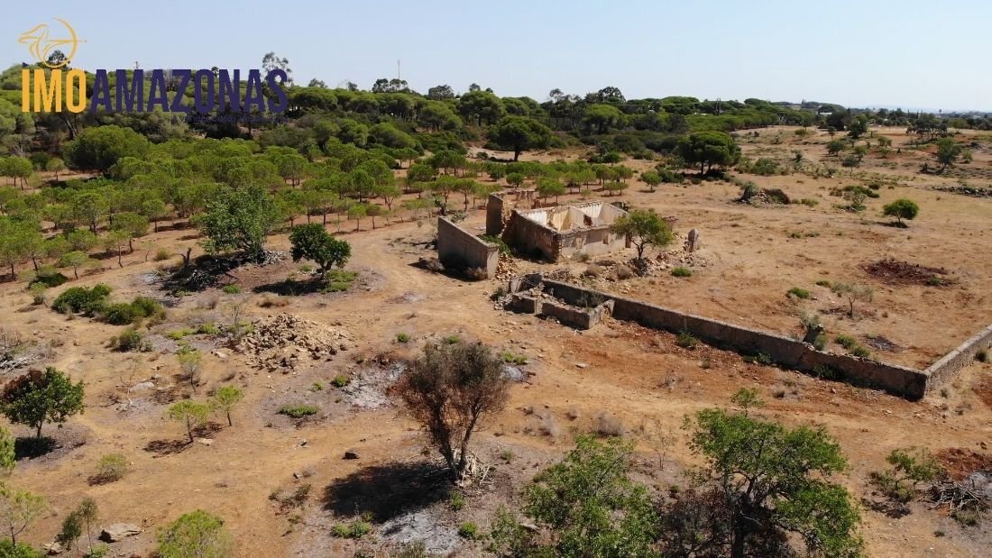 Farm Ranch in Lagoa e Carvoeiro, Algarve, Portugal 2 - 12855161