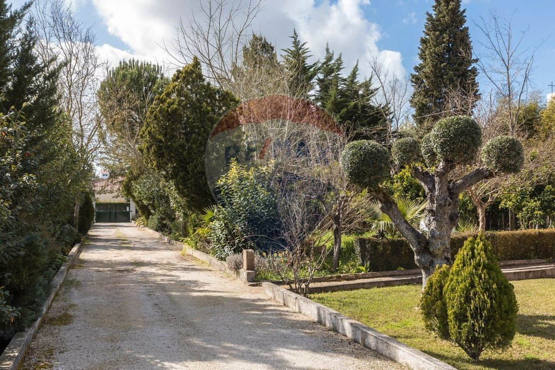 House T8 For Sale In Tomar (São João In Tomar, Santarém District