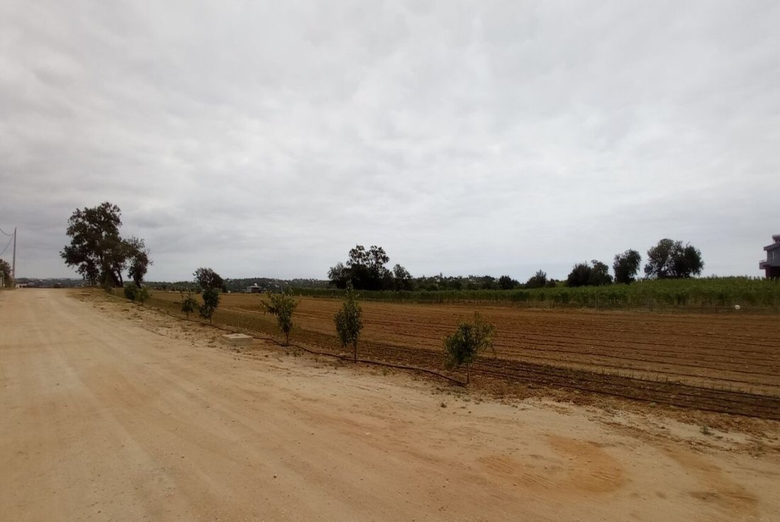 Land in Guia, Algarve, Portugal 1 - 12858020