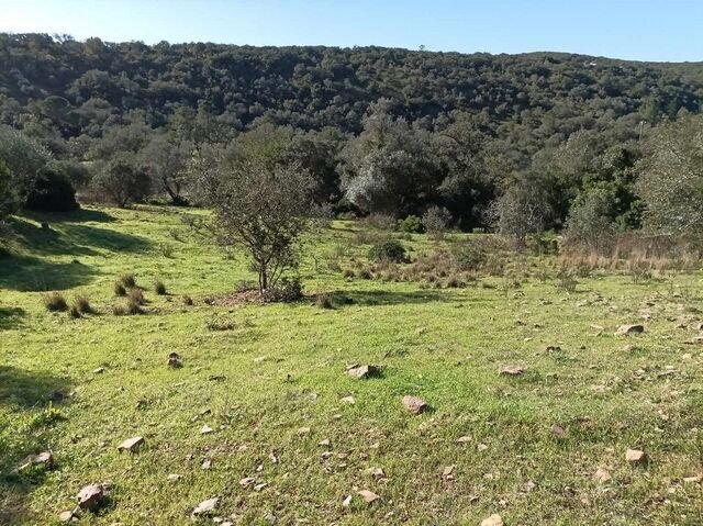 Land in Sao Bras de Alportel, Algarve, Portugal 5 - 12856000