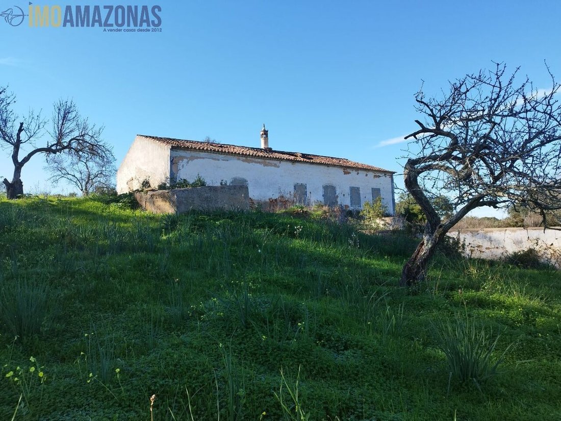 Haus in Carvoeiro, Algarve, Portugal 5 - 12855384