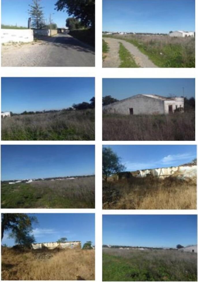 Estate in Fanzeres e Sao Pedro da Cova, Porto District, Portugal 4 - 12855476