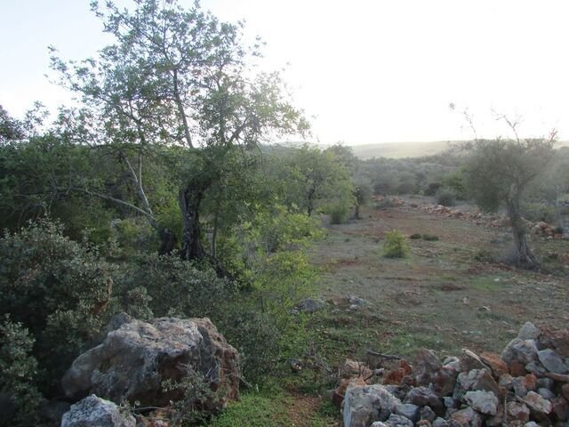 Land in Loule (Sao Sebastiao), Algarve, Portugal 2 - 12855726