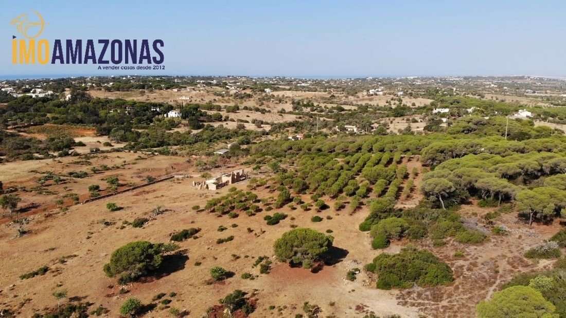 Farm Ranch in Lagoa e Carvoeiro, Algarve, Portugal 3 - 12855161