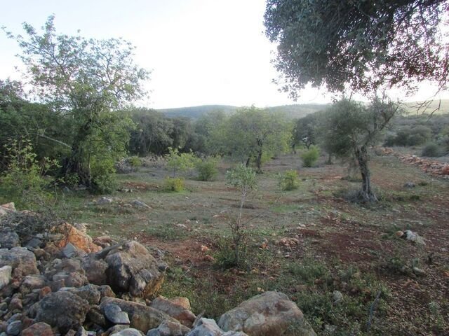 Land in Loule (Sao Sebastiao), Algarve, Portugal 1 - 12855726