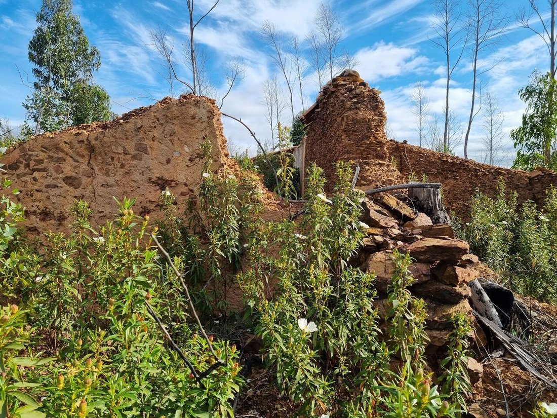Land in Silves, Algarve, Portugal 3 - 12857856