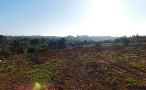 Land in Lagoa e Carvoeiro, Algarve, Portugal 1