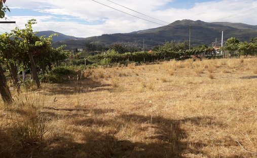 Land in Messegaes, Valadares e Sa, Viana do Castelo District, Portugal 1