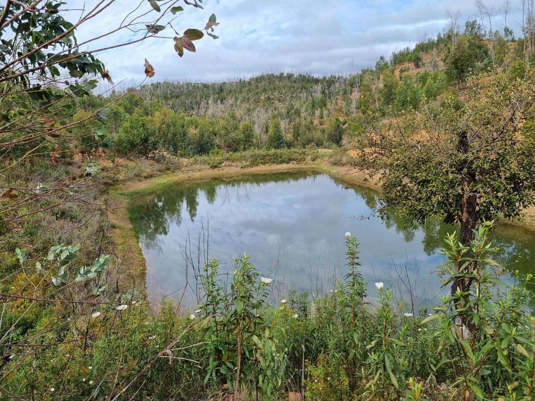 Land in Silves, Algarve, Portugal 1 - 12857856