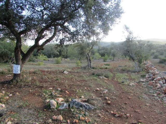 Land in Loule (Sao Sebastiao), Algarve, Portugal 4 - 12855726