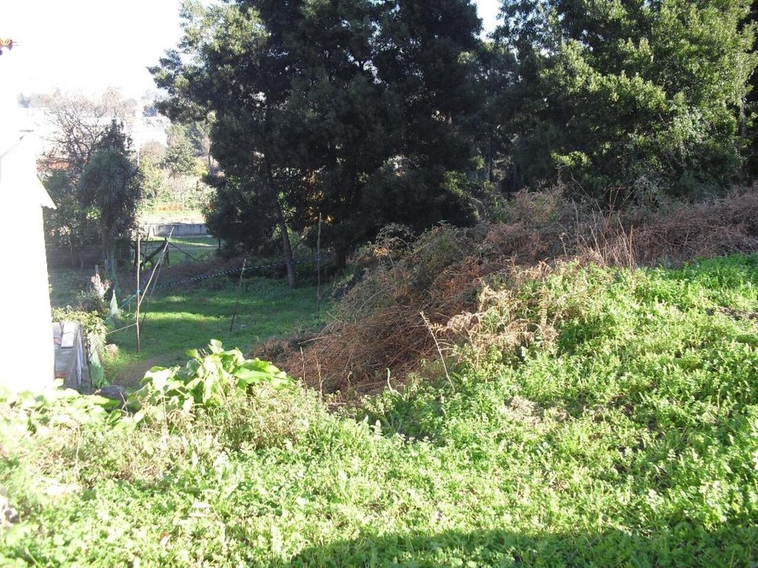 Land in Oliveira do Douro, Porto District, Portugal 2 - 12855514