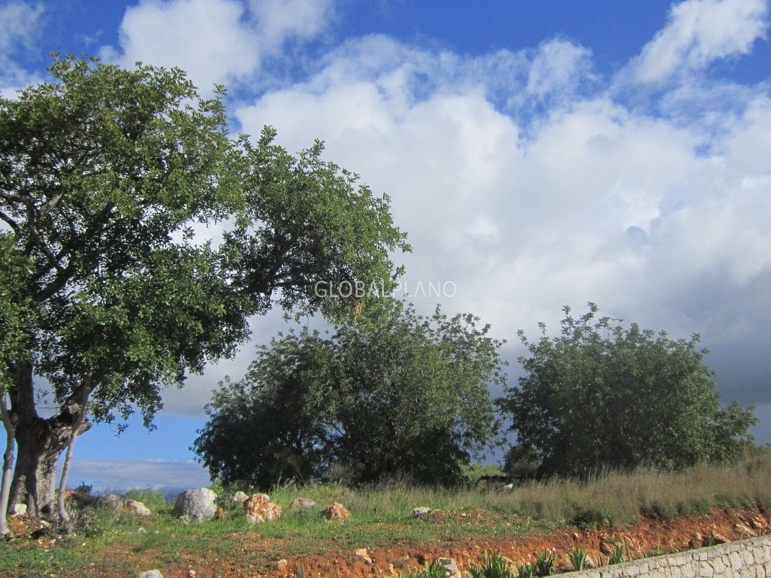 Land in Portimao, Algarve, Portugal 5 - 12855772