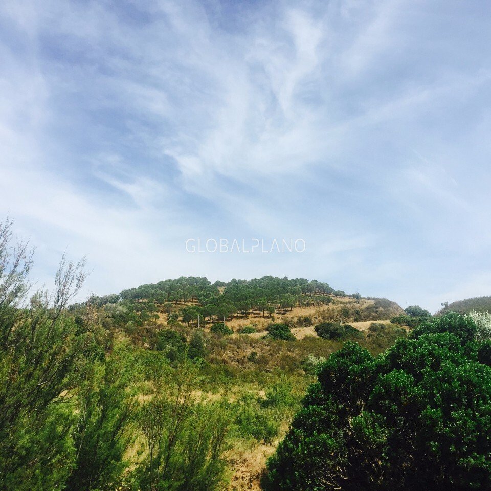 Land in Mexilhoeira Grande, Algarve, Portugal 2 - 12855910