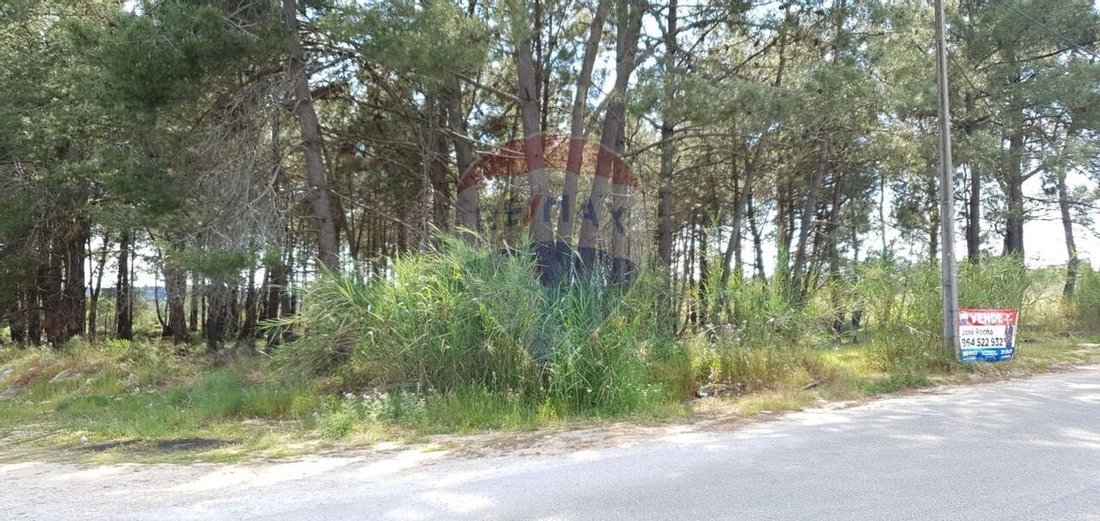 Land For Sale In Quinta Do Anjo, Palmela In Quinta Do Anjo, Portugal