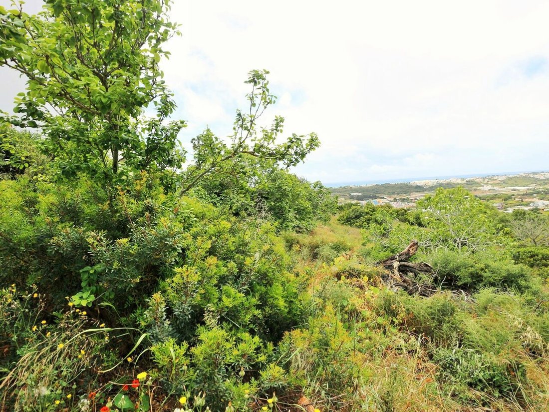 Land in Olhos de Agua, Algarve, Portugal 3 - 12856200