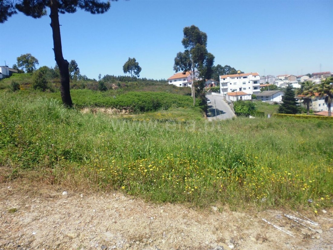 Land in Oliveira do Douro, Porto District, Portugal 5 - 12855934