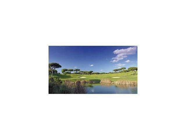 Land in Loule (Sao Clemente), Algarve, Portugal 2 - 12856763