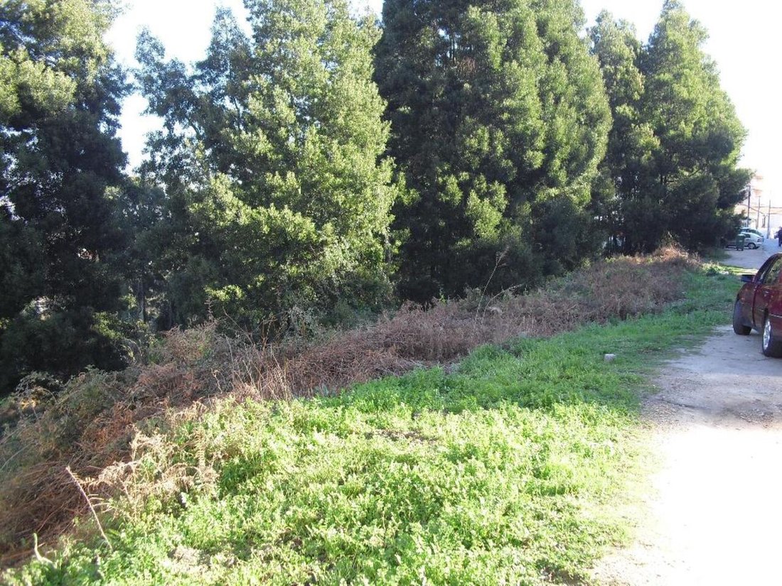 Land in Oliveira do Douro, Porto District, Portugal 1 - 12855514