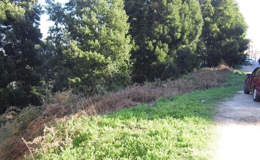 Terreno a Oliveira do Douro, Oporto, Portogallo 1