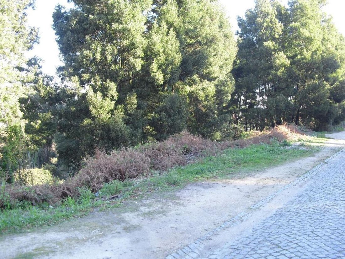 Land in Oliveira do Douro, Porto District, Portugal 4 - 12855514