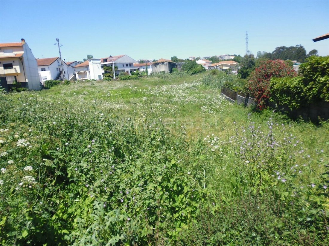 Land in Oliveira do Douro, Porto District, Portugal 1 - 12855934