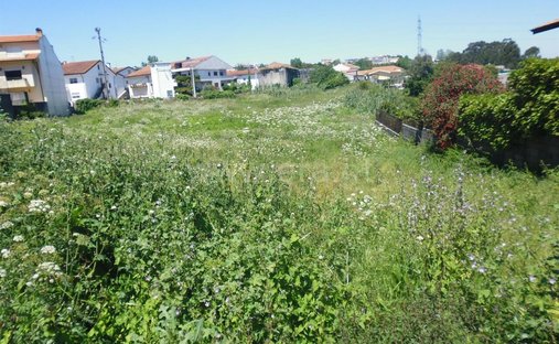 Land in Oliveira do Douro, Porto District, Portugal 1