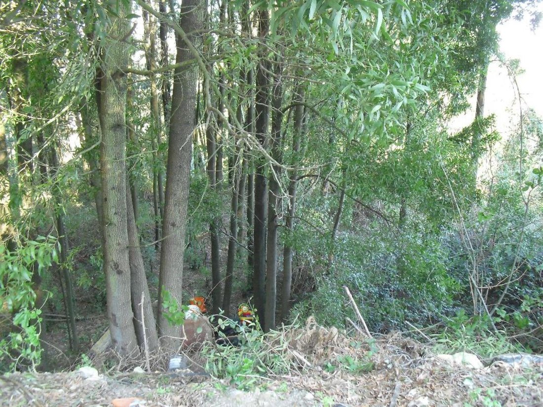 Land in Oliveira do Douro, Porto District, Portugal 5 - 12855514