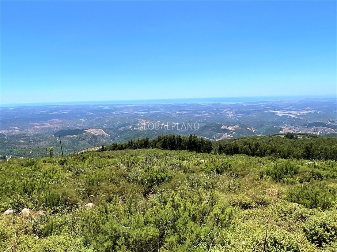 Land in Monchique, Algarve, Portugal 4 - 12856873