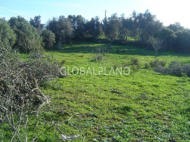 Land in Portimao, Algarve, Portugal 3 - 12855699
