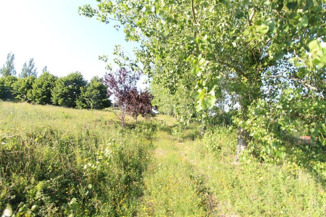 Land in Oliveira do Douro, Porto District, Portugal 2 - 12855669