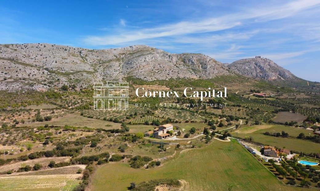 Cornex Capital