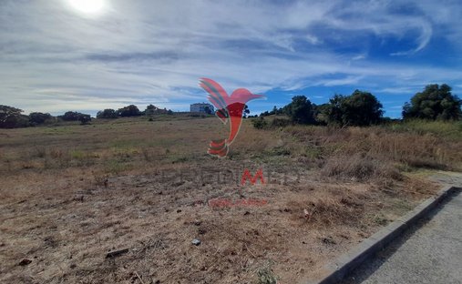 Land in Cidade de Santarem, Santarem District, Portugal 1