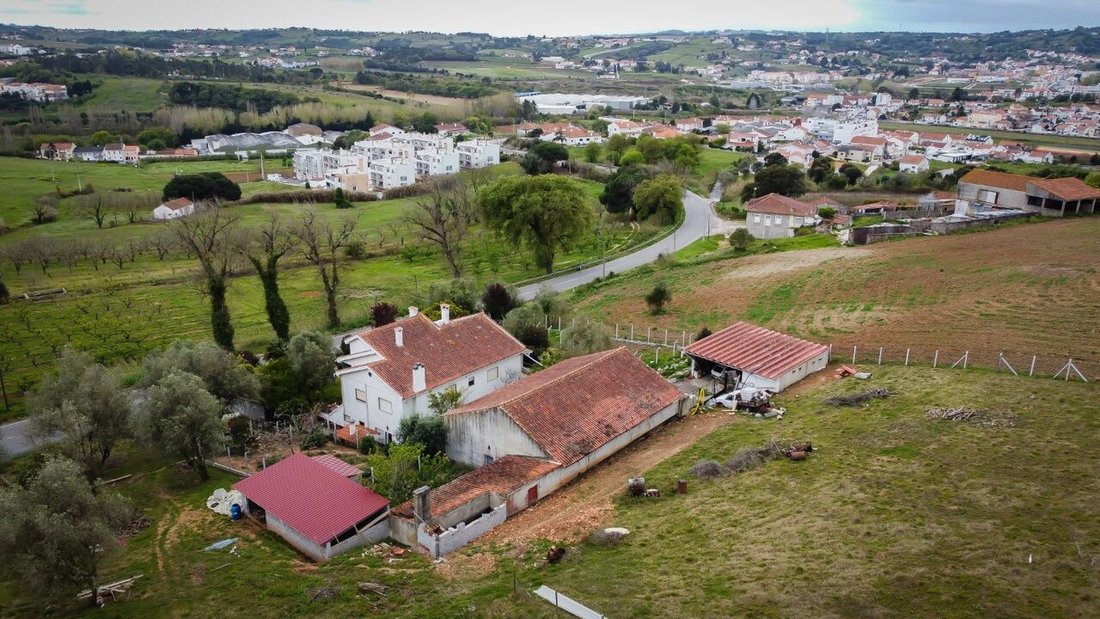 Farm Ranch in Aljubarrota, Leiria District, Portugal 1 - 12859742