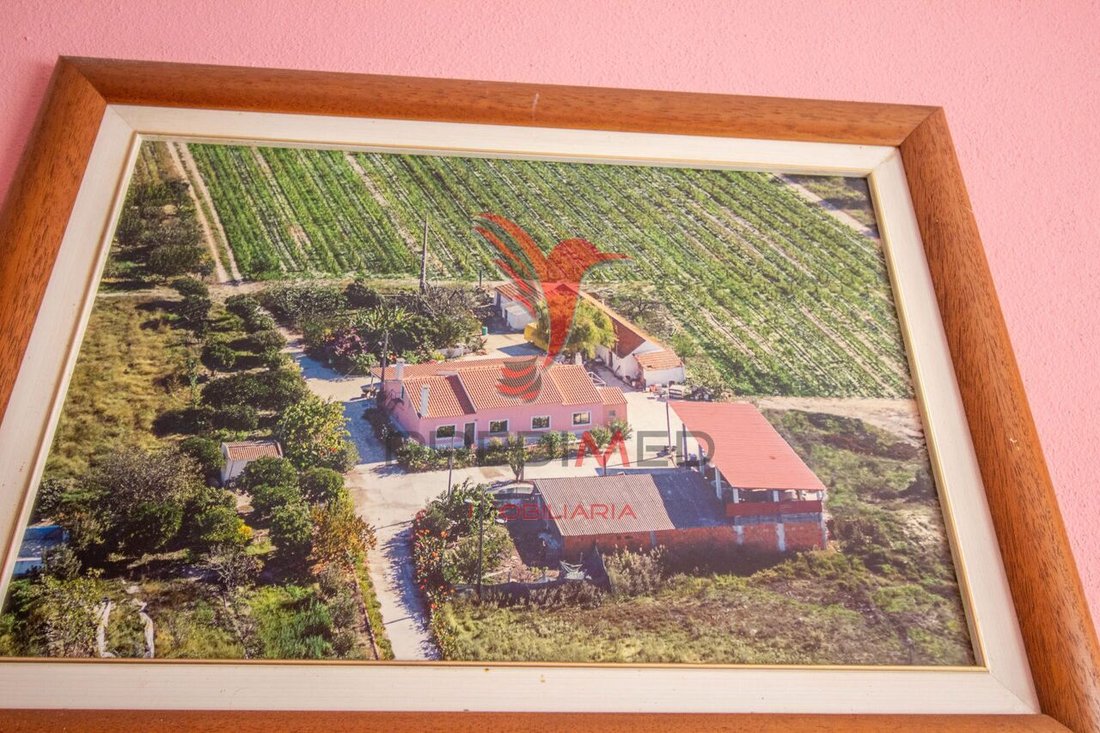 Farm Ranch in Poceirao e Marateca, Setubal, Portugal 1 - 12860059