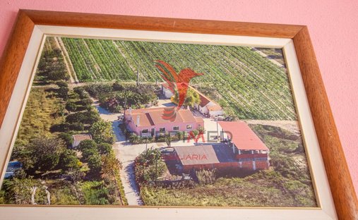 Farm Ranch in Poceirao e Marateca, Setubal, Portugal 1