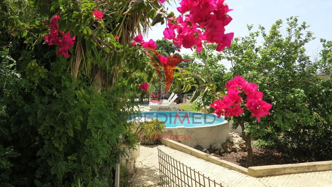 Casa en Portugal 4 - 12862724
