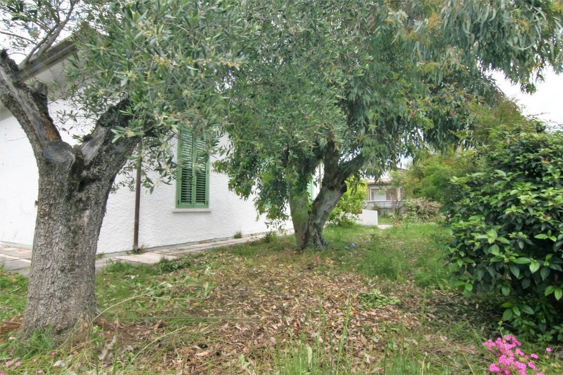 House in Marina di Carrara, Tuscany, Italy 5 - 12865458