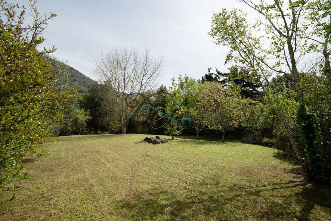 Estate in Camaiore, Tuscany, Italy 4 - 12865439