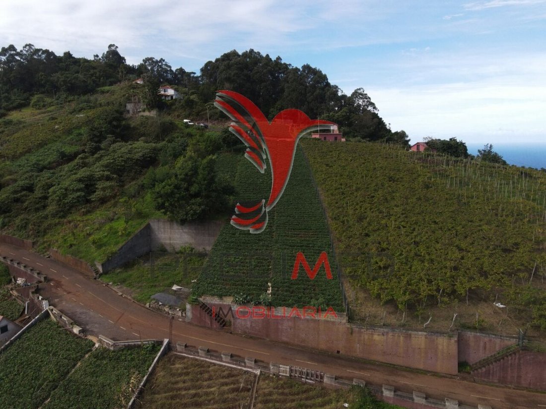 Land in Sao Jorge, Madeira, Portugal 5 - 12862224