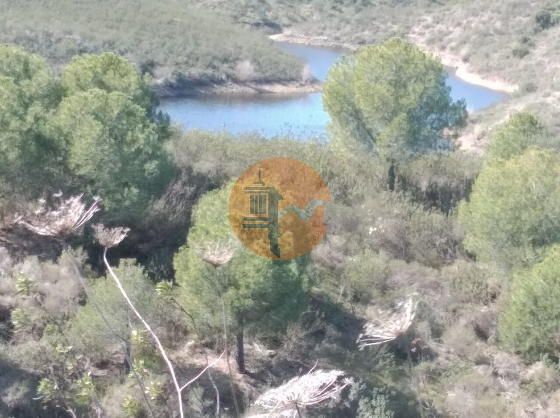 Farm Ranch in Boliqueime, Algarve, Portugal 5 - 12859319