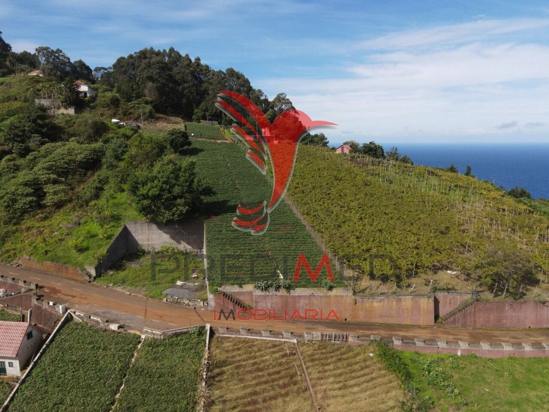 Land in Sao Jorge, Madeira, Portugal 1 - 12862224