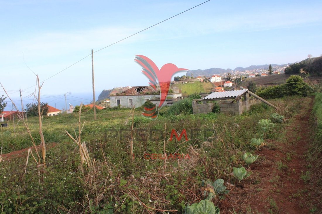 House in Sao Jorge, Madeira, Portugal 4 - 12861025