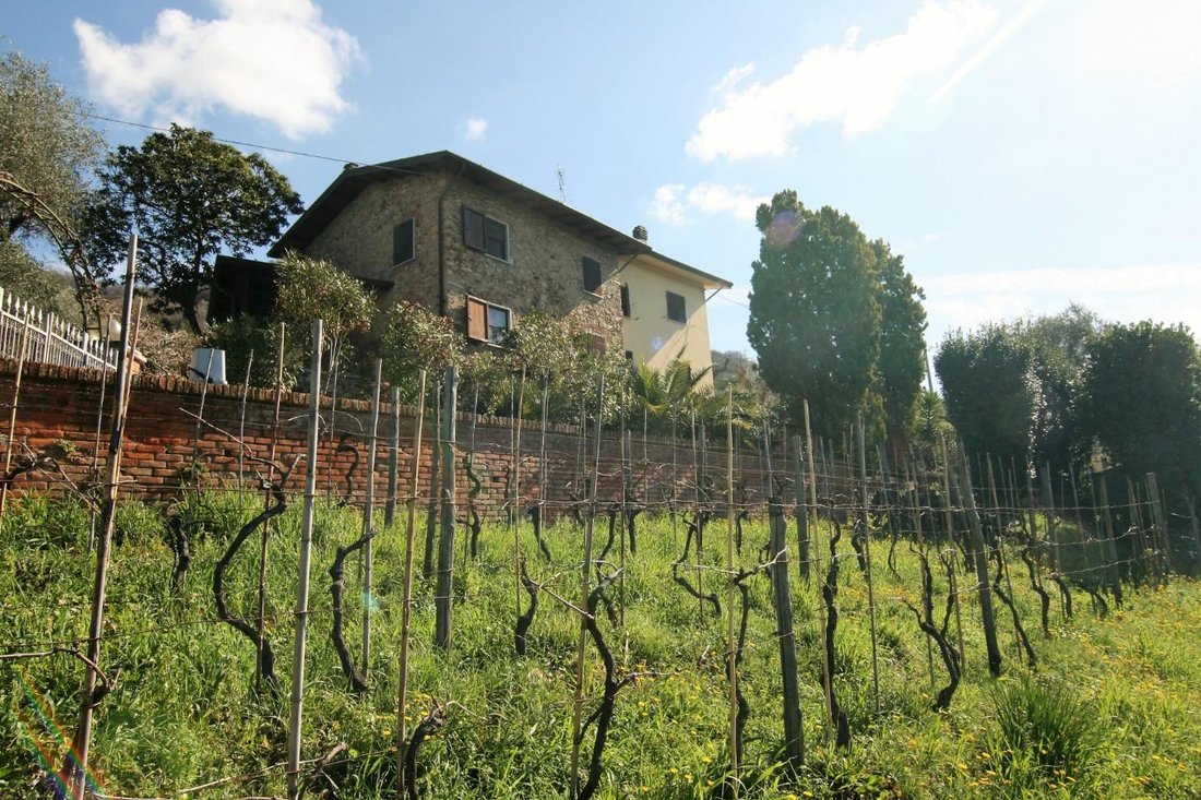 Fontia-Fossola-Fossone, Marina di Carrara, Tuscany 3 - 12865464