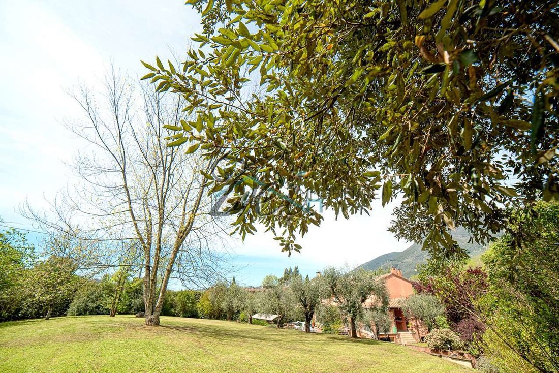 Estate in Camaiore, Tuscany, Italy 5 - 12865439