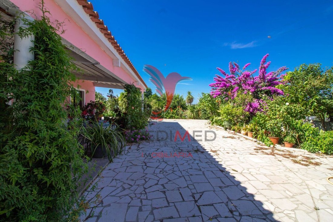 Farm Ranch in Poceirao e Marateca, Setubal, Portugal 4 - 12860059