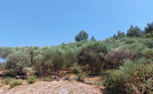 Land in Tavora (Santa Maria e Sao Vicente), Viana do Castelo District, Portugal 1