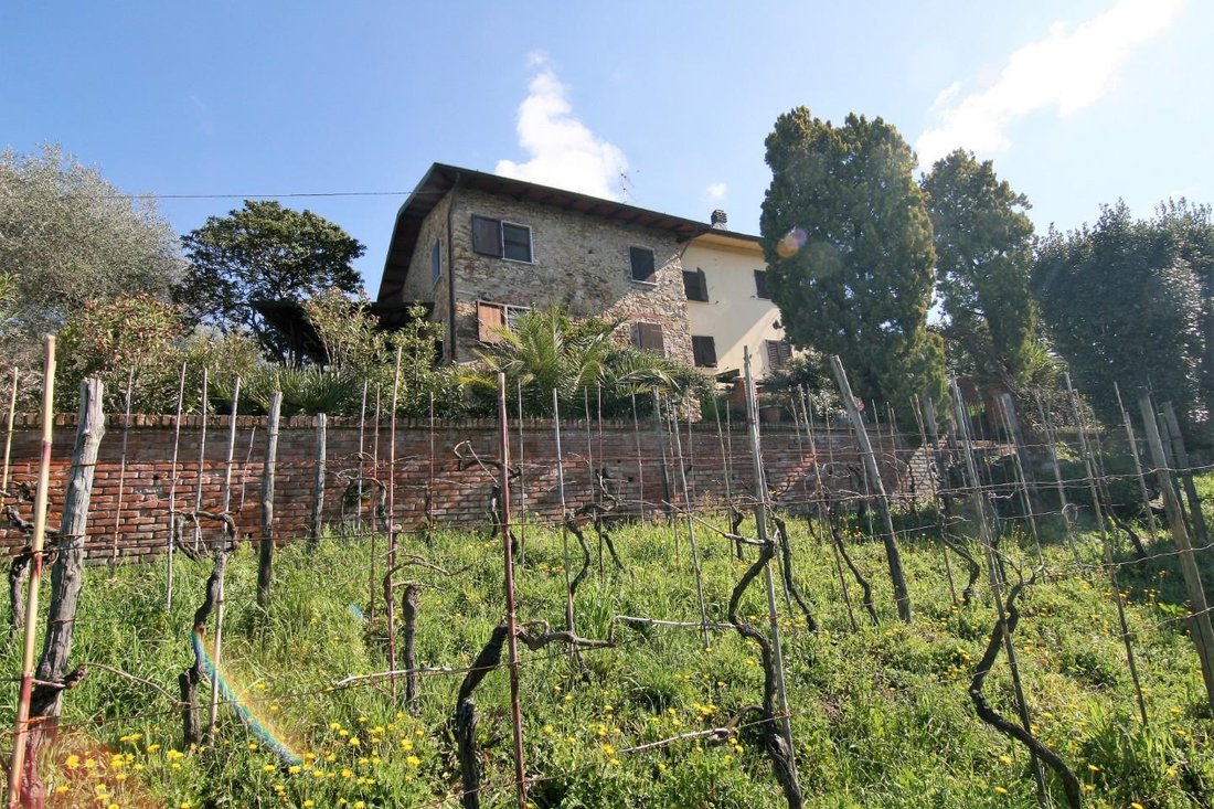 Fontia-Fossola-Fossone, Marina di Carrara, Tuscany 2 - 12865464