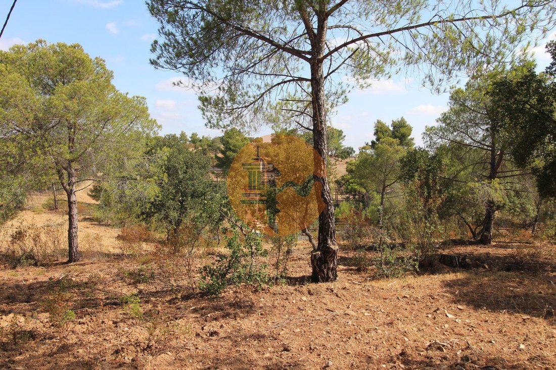 Land in Azinhal, Algarve, Portugal 5 - 12858911